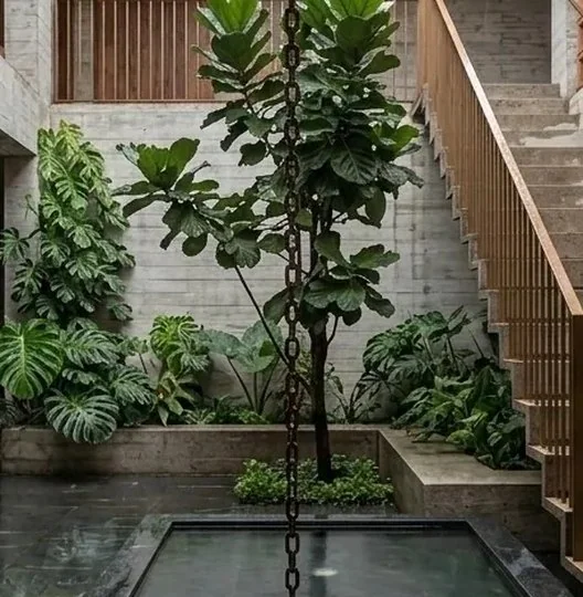 The same courtyard with denser planting along the stair